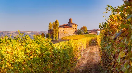 Deurstickers Langhe in de herfst, Piemonte, Italië © Pixelshop