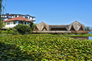 The lake Neptune from the station Neptune in Constanta, Romania filled with water lilly