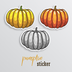 Pumpkin stickers. Different colors of pumpkin stickers
