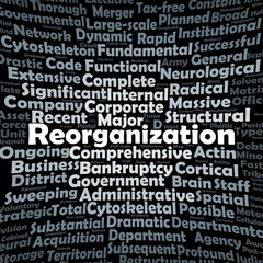Fototapeta premium Reorganization word cloud