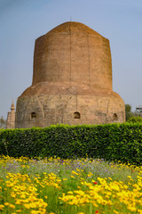 Fototapeta na wymiar Dhamekh Stupa and Panchaytan temple ruins, Sarnath, Varanasi, India