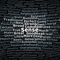 Fototapeta premium Sense word cloud
