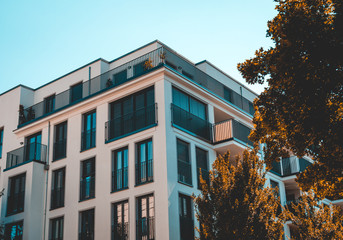typical white colored building with blue windows and orange trees