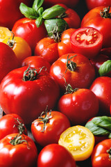 Variety of ripe fresh organic gardening tomatoes different kind and colors with water spot and basil leaves over old grey wooden background. Food background. Close up