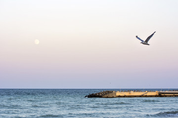 The pier from the black sea in the Neptun station in Constanta, Romania  © candreea