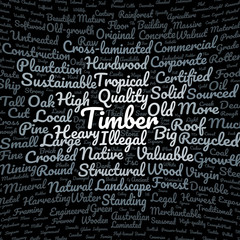 Timber word cloud