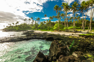 Beach with coral reef on south side of Upolu framed by palm leaves, Samoa