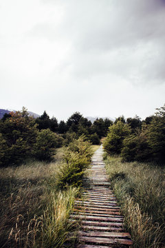 D&uuml;sterer Weg 