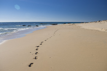 Footprints on the sand near the sea with rocks in the beach