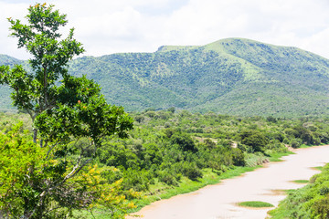 Fototapeta na wymiar The Nzimane river in the Hluhluwe-imfolozi park, KZN, South Africa.