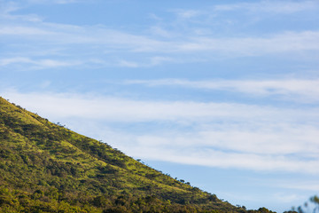 The hilly terrain and bush in the Hluhluwe-imfolozi park, KZN, South Africa.