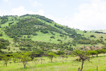 The hills and mountainous terrain on the The R69 from Pongola to Vryheid, KZN, South Africa