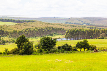 The hills and mountainous terrain on the The R69 from Pongola to Vryheid, KZN, South Africa