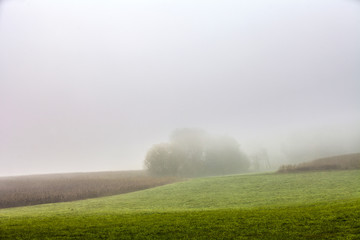 Morgennebel_2682