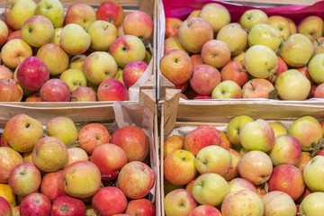 Bunch of red and green apples on boxes in supermarket. Apples in farmer market. Boxes with fresh apples in a grocery store