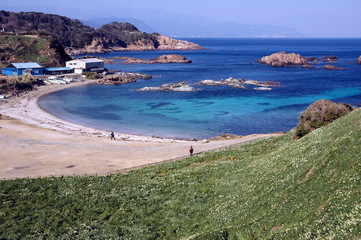 早春の伊豆海岸