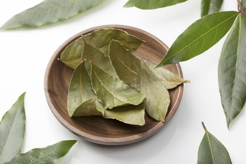 Dried and fresh bay laurel leaves