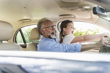 Little girl sitting on lap of grandfather, pretending to steer the car