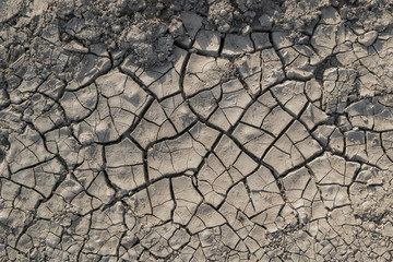 Dry cracked soil texture and background. Grunge soil background. Abstract ground. Natural...