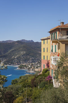 Italy, Liguria, Camogli, View from San Rocco di Camogli
