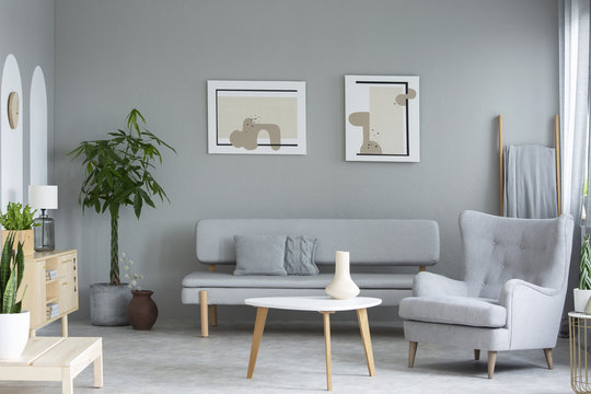 Grey armchair next to table and couch in living room interior with paintings and plant. Real photo