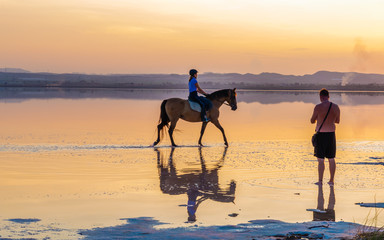 Horse ride in the lagoon