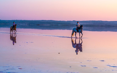 Horse ride in the lagoon