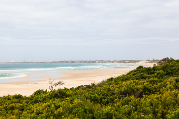 Fototapeta na wymiar The long white sandy dune beach of Cape St Francis, South Africa.