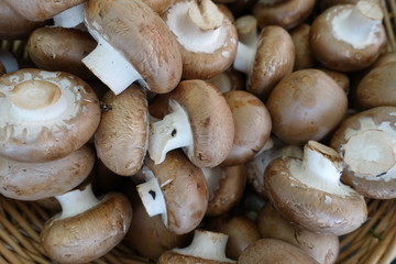 Korb mit Champignons
