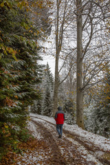 Obraz premium winter and snow scenes