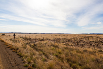 Dirt roads and fields of the Karoo near Gariep dam, South Africa.