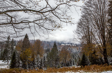 winter and snow scenes