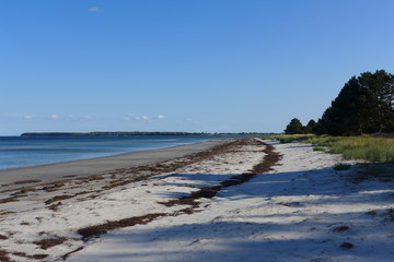 Strand bei Faksen Dänemark