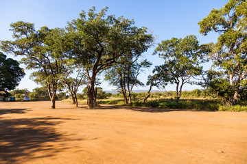 The parking area at a rest camp in the Kruger park, South Africa.