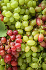 Naklejka na ściany i meble Fresh ripe grapes as background