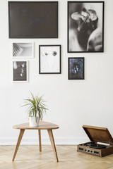 Fototapeta na wymiar Plant on wooden table next to record player in vintage living room interior with posters. Real photo