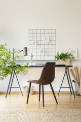 Real photo of workspace desk with notebooks, metal lamp and fresh plant in white room interior with carpet, leather chair and metal organizer on wall