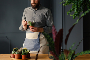 Gardener with passion in work suit holding cactus at table with succulents