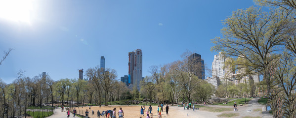 Fototapeta premium SKYLINE CentalPark