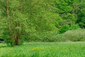 Bremen-Schönebeck im Mai
