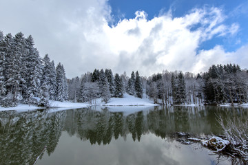 Obraz premium winter and snow scenes