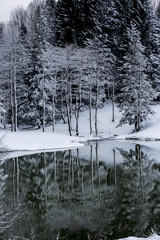 winter and snow scenes