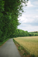 road between beautiful forest and field in Wurzburg, Germany