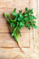 Fresh coriander leaves.
