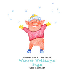 Watercolor illustration of winter fun pigs. Piggy throws snow