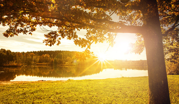 Herbststimmung