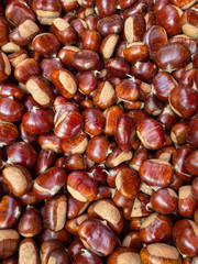 Castagne, Marroni, Autunno, Piemonte, Italia