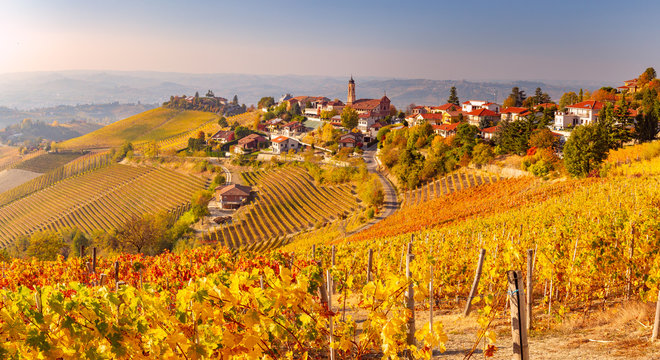 Fototapeta Treiso in Autunno, Langhe, Piemonte, Italia