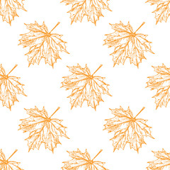 Seamless pattern with hand drawn maple leaves. Vintage autumn background