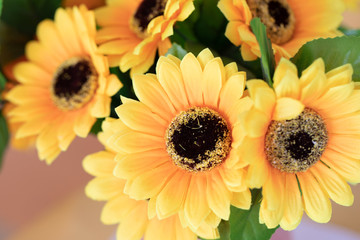 Background of flowers frame, Beautiful flower for background.